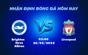 brighton hove albion liverpool 20 05 ngoai hang anh