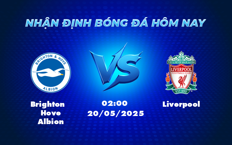 brighton hove albion liverpool 20 05 ngoai hang anh