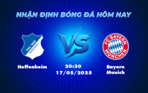 hoffenheim bayern munich 17 05 bundesliga