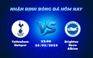 tottenham hotspur brighton hove albion 25 05 ngoai hang anh